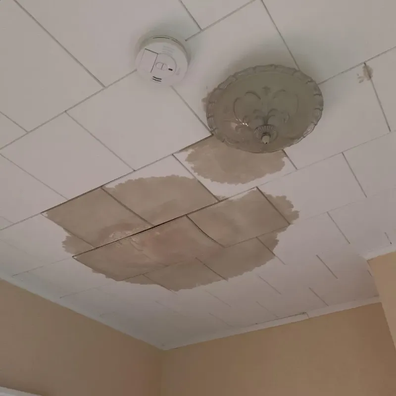 Ceiling Water Damage Repair in Potosi, TX