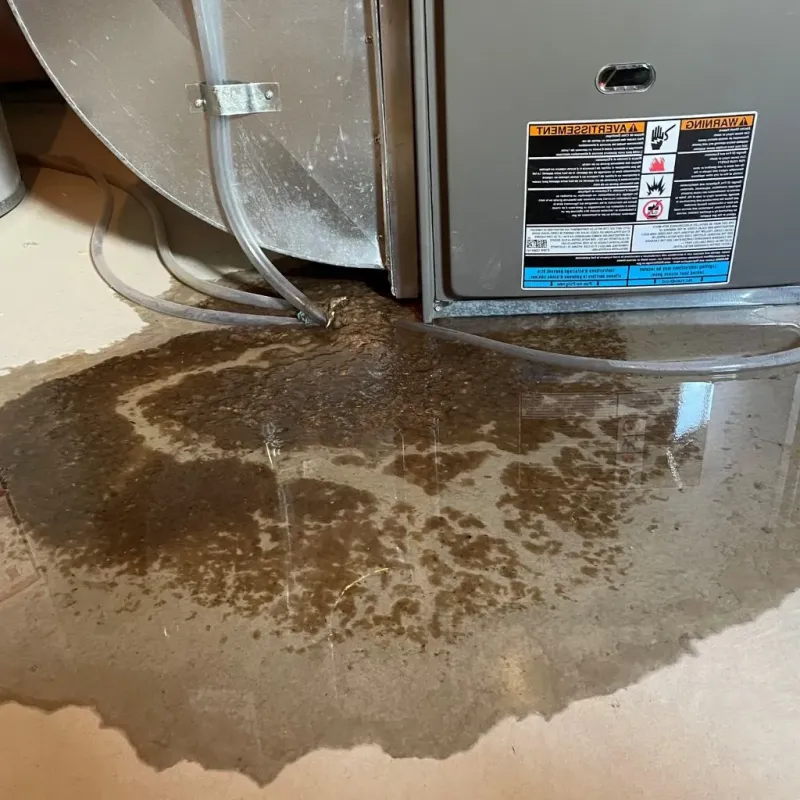 Pipe Burst and Leak Restoration in Potosi, TX