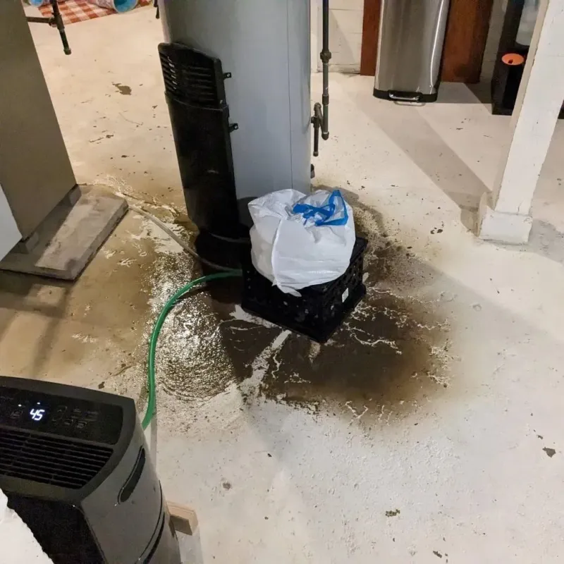 Sewage Backup Cleanup Service in Potosi, TX